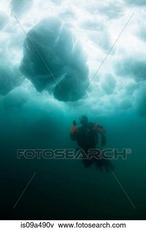 Man scuba diving under glacier View Large Photo Image Stock Photo - Man scuba diving under glacier. Fotosearch
