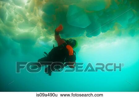 Man scuba diving under glacier View Large Photo Image Stock Photograph - Man scuba diving under glacier. Fotosearch