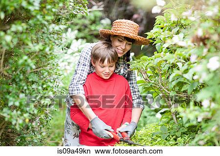 Mother and son trimming hedges View Large Photo Image Picture - Mother and son trimming hedges. Fotosearch