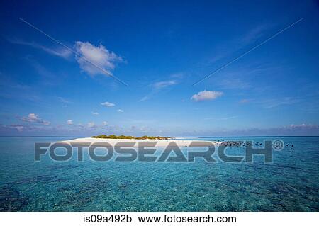 Sandbar in tropical water View Large Photo Image Stock Image - Sandbar in tropical water. Fotosearch