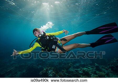 Woman scuba diving in tropical water View Large Photo Image Stock Image - Woman scuba diving in tropical water. Fotosearch