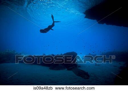 Stock Image - Woman snorkeling in tropical water. Fotosearch