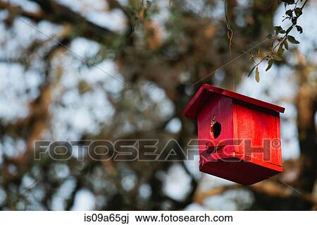 Birdhouse hanging from tree View Large Photo Image Stock Image - Birdhouse hanging from tree. Fotosearch