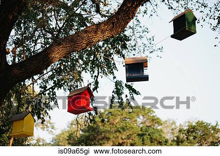 Stock Image - Birdhouses hanging from tree. Fotosearch