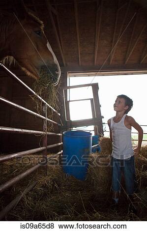 Stock Photo - Boy feeding horse in barn. Fotosearch