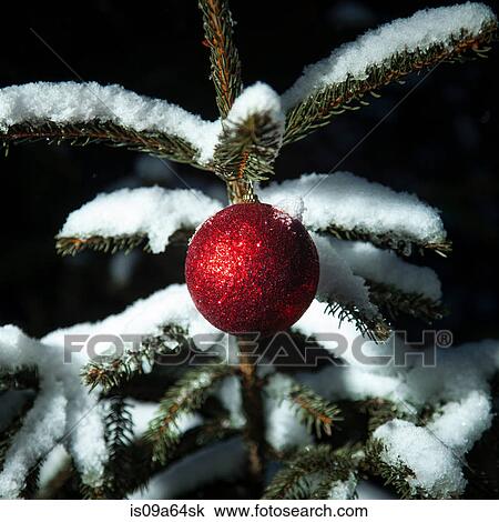 Stock Image - Christmas ornament on snowy tree. Fotosearch