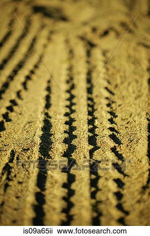 Stock Image - Close up of tire tracks in sand. Fotosearch