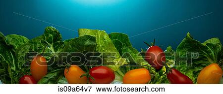 Stock Photo - Close up of tomatoes and lettuce. Fotosearch