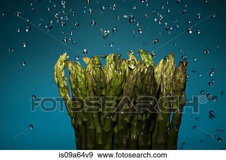 Stock Photo - Close up of water splashing on asparagus. Fotosearch