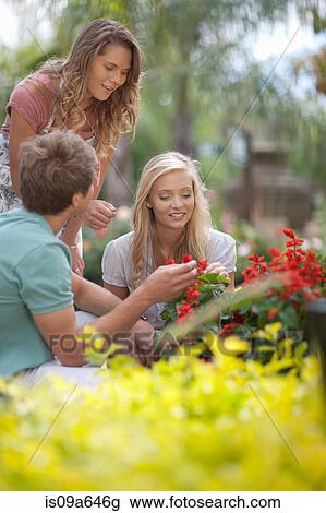 Couple shopping for plants in nursery View Large Photo Image Stock Image - Couple shopping for plants in nursery. Fotosearch
