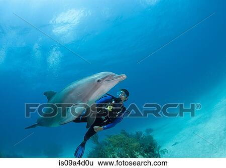 Stock Photograph - Diver with dolphin. Fotosearch