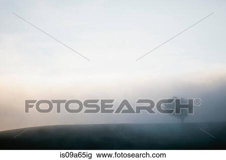 Fog rolling over tree and rural hills View Large Photo Image Stock Image - Fog rolling over tree and rural hills. Fotosearch