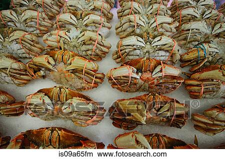 Freshly caught crabs for sale View Large Photo Image Picture - Freshly caught crabs for sale. Fotosearch