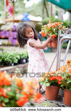Stock Image - Girl holding potted plant in nursery. Fotosearch