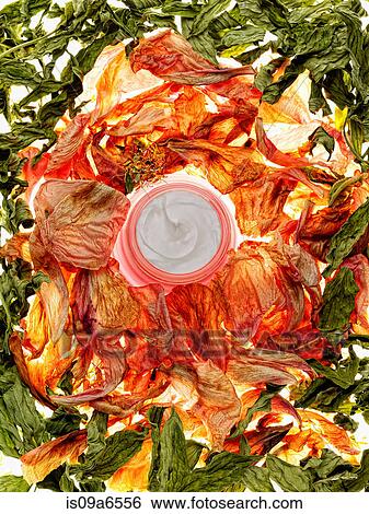 Jar of lotion in dried flowers View Large Photo Image Stock Photograph - Jar of lotion in dried flowers. Fotosearch