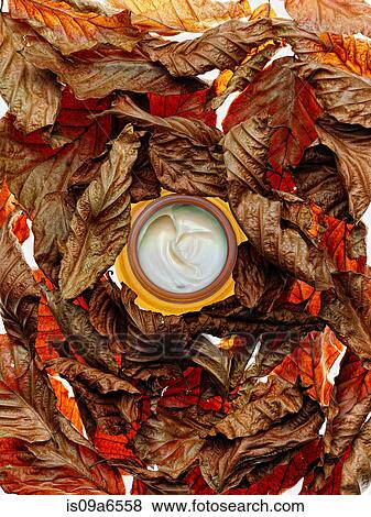 Jar of lotion in dried leaves View Large Photo Image Stock Photo - Jar of lotion in dried leaves. Fotosearch