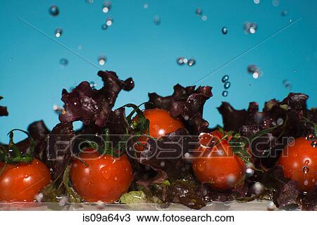 Stock Image - Lettuce and tomatoes splashing in water. Fotosearch