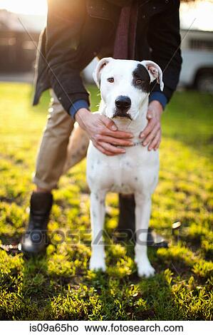 Man holding dog in park View Large Photo Image Picture - Man holding dog in park. Fotosearch
