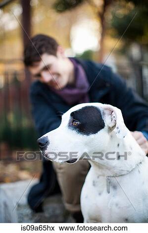 Man petting dog on city street View Large Photo Image Stock Photo - Man petting dog on city street. Fotosearch