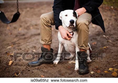 Stock Photo - Man petting dog on swing set. Fotosearch