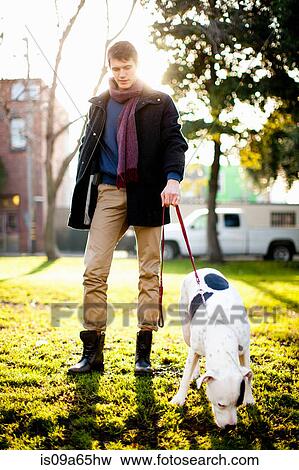 Man walking dog in park View Large Photo Image Stock Photo - Man walking dog in park. Fotosearch