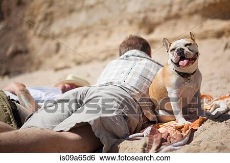 Stock Photograph - Men relaxing with dog on beach. Fotosearch