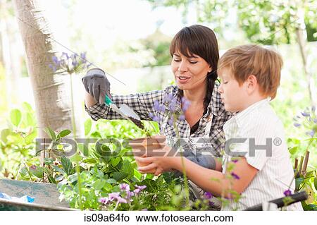 Picture - Mother and son potting plants outdoors. Fotosearch