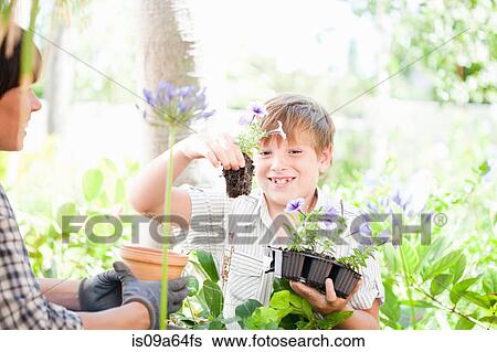 Mother and son potting plants outdoors View Large Photo Image Stock Photograph - Mother and son potting plants outdoors. Fotosearch