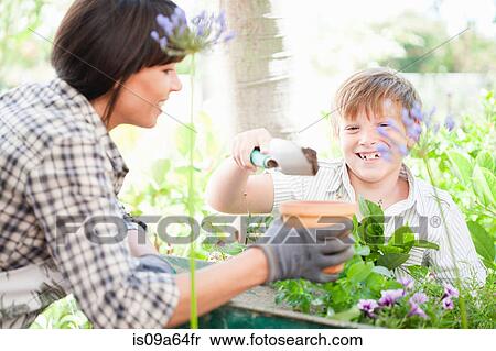 Mother and son potting plants outdoors View Large Photo Image Stock Photography - Mother and son potting plants outdoors. Fotosearch