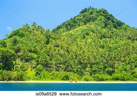 Palm trees on hilly tropical island View Large Photo Image Stock Photo - Palm trees on hilly tropical island. Fotosearch
