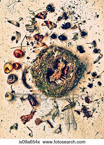 Plants and insects around nest View Large Photo Image Stock Photo - Plants and insects around nest. Fotosearch