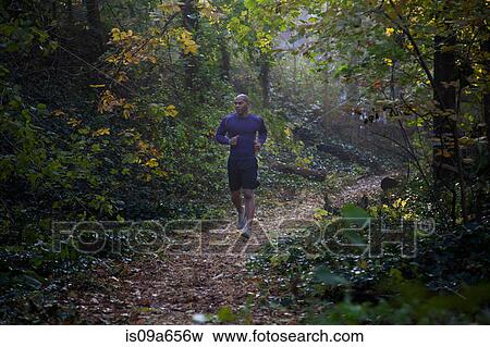 Runner on forest trail View Large Photo Image Stock Photo - Runner on forest trail. Fotosearch