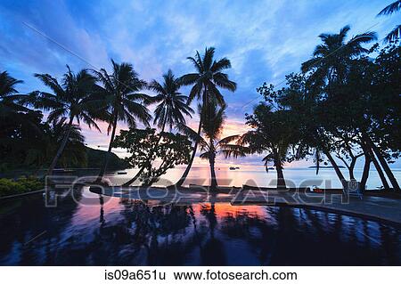 Silhouette of trees on tropical beach View Large Photo Image Stock Photograph - Silhouette of trees on tropical beach. Fotosearch