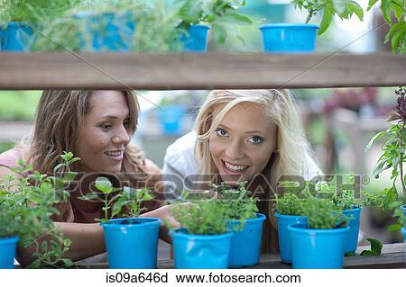 Woman shopping for plants in nursery View Large Photo Image Stock Image - Woman shopping for plants in nursery. Fotosearch