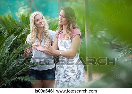 Woman shopping for plants in nursery View Large Photo Image Stock Image - Woman shopping for plants in nursery. Fotosearch