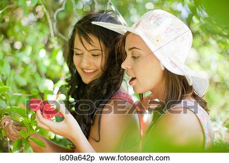 Stock Photography - Women admiring flowers in park. Fotosearch