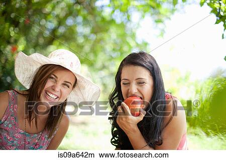 Women picnicking together in park View Large Photo Image Picture - Women picnicking together in park. Fotosearch
