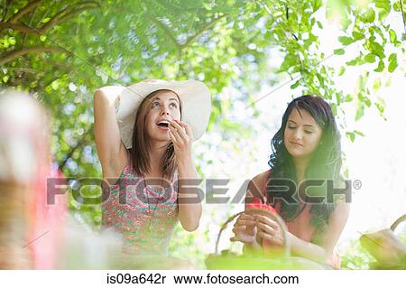 Stock Photography - Women picnicking together in park. Fotosearch