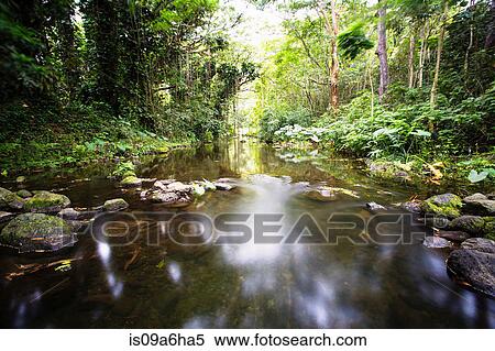 Stock Photography - Blurred view of river in forest. Fotosearch