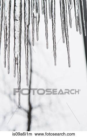 Picture - Close up of icicles. Fotosearch