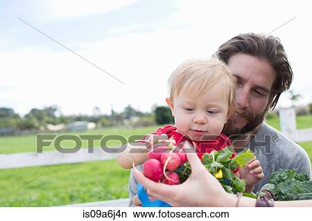Picture - Father and son at farmer's market. Fotosearch