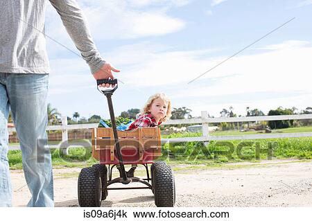 Father pulling son in wagon View Large Photo Image Stock Image - Father pulling son in wagon. Fotosearch