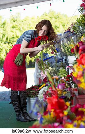 Florist working in shop View Large Photo Image Stock Photo - Florist working in shop. Fotosearch
