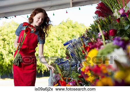 Stock Photo - Florist working in shop. Fotosearch