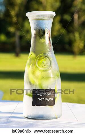 Glass pitcher of lemon verbena water View Large Photo Image Stock Photo - Glass pitcher of lemon verbena water. Fotosearch