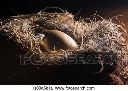 Golden egg in nest View Large Photo Image Stock Image - Golden egg in nest. Fotosearch