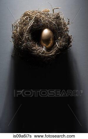 Golden egg in nest View Large Photo Image Stock Photograph - Golden egg in nest. Fotosearch