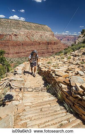 Man hiking trail in Grand Canyon View Large Photo Image Stock Image - Man hiking trail in Grand Canyon. Fotosearch