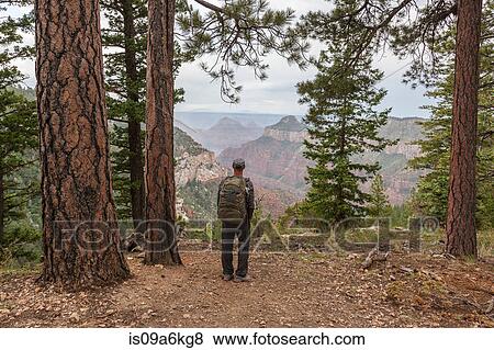Stock Photo - Man hiking trail in Grand Canyon. Fotosearch