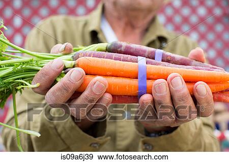 Stock Photo - Man holding carrots outdoors. Fotosearch